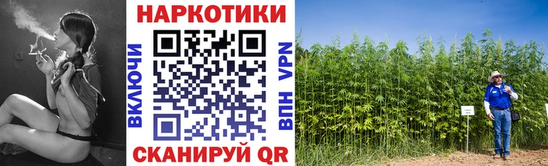 Где купить наркотики Кировск Бошки Шишки Меф COCAIN ГАШИШ