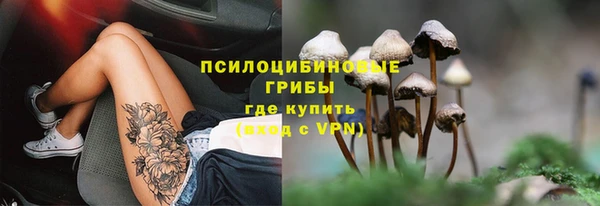 Альфа ПВП Ладушкин
