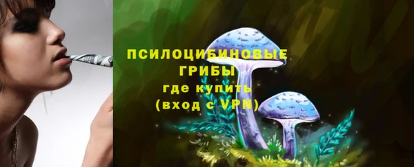 MESCALINE Лабытнанги