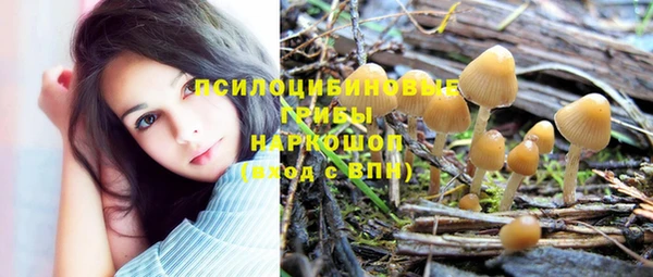 Альфа ПВП Ладушкин
