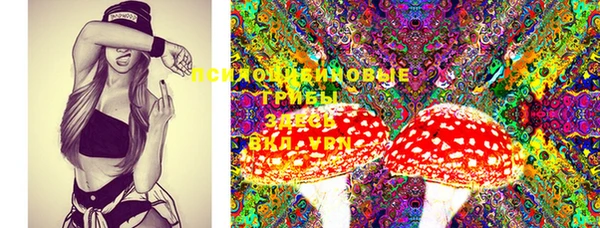 MESCALINE Лабытнанги