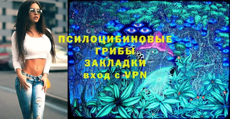 Псилоцибиновые грибы мухоморы  Кировск 