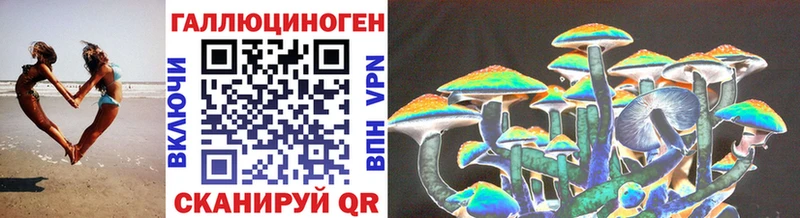 Псилоцибиновые грибы Cubensis  закладка  Кировск 