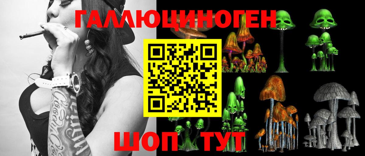 Галлюциногенные грибы MAGIC MUSHROOMS  как найти закладки  Кировск 